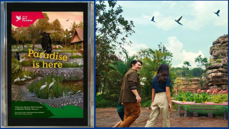 Mandai invites the world to ‘Take off to Paradise’ in campaign for Bird Paradise